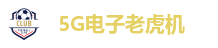 5G电子老虎机